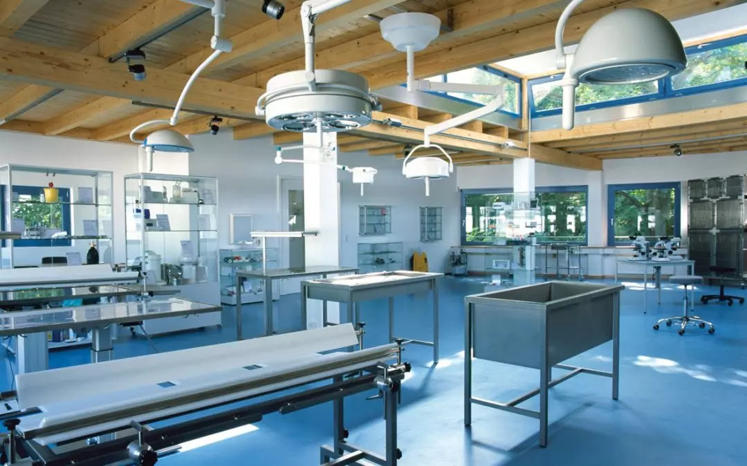 Expanding Horizons: Entering the Veterinary Market 🐾