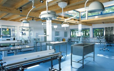 Expanding Horizons: Entering the Veterinary Market 🐾